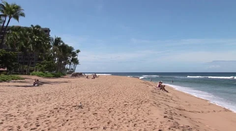 Tropical Vacation Vídeo Stock 50725860