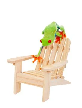 Tropical vacation frog Stock Photos