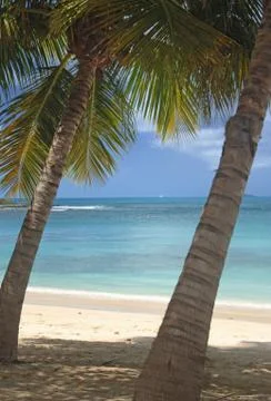 Tropical vacation Foto stock