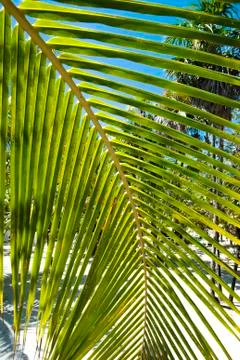 Tropical vacation Stock Photos