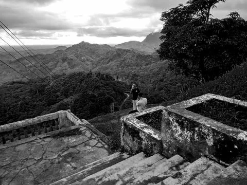 Tropical valley landscape in the background 库存照片