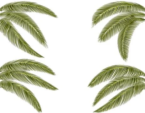 Tropical Various forms of dark green palm leaves. Drawn on four sides. illust Stock Illustration