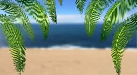Tropical Various forms of green palm leaves. On the background of a summer la Stock Illustration