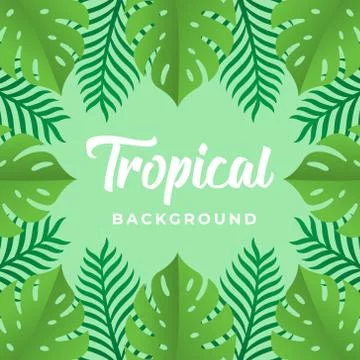 Tropical Vector Background Design Illustration. Tropical leaves Vector flat d Stock-Illustration