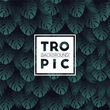 Tropical vector seamless pattern with exotic green monstera and palm leaves o Stock Illustration