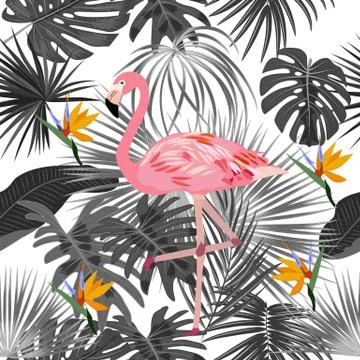Tropical vector seamless pattern with flamingo. Botany design, jungle leaves  스톡 일러스트