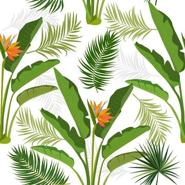 Tropical vector seamless pattern with  leaves of strelitzia, palm tree and fl 스톡 일러스트