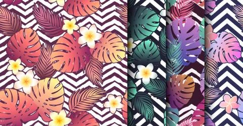 Tropical vector seamless patterns collection with colorful leaves and exotic  Stock Illustration