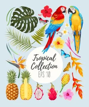 Tropical vector set Illustrazione stock