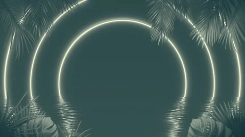 Tropical Vibes Animation Loop 023 스톡 동영상 209548426