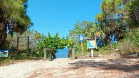 Tropical vibes in Florida! Stock Footage 154612525