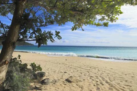 The tropical view of the beach. Stock Photos