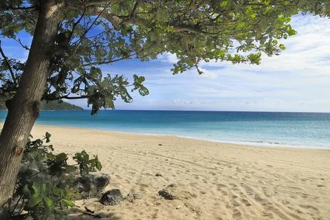 The tropical view of the beach. Stock Photos