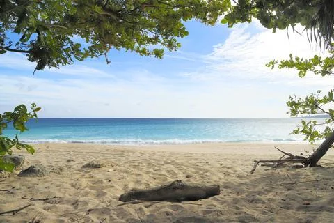 The tropical view of the beach. Stock Photos