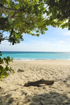 The tropical view of the beach. Stock Photos