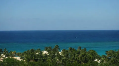 Tropical View 動画素材 990076