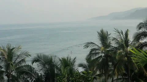 Tropical view Video stock 23796041