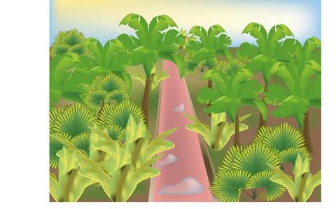 Tropical view Stock Illustration