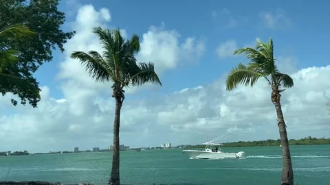 Tropical view of Miami with palm trees and a boat in the sea Stock Footage 337162396