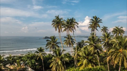 Tropical View Ocean Palms Timelapse 4k Stock Footage 85971038