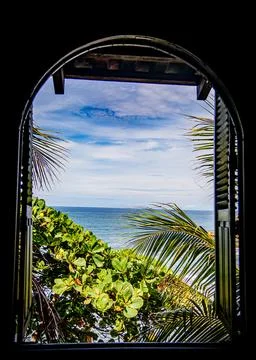 Tropical View out of a window Fotos de archivo