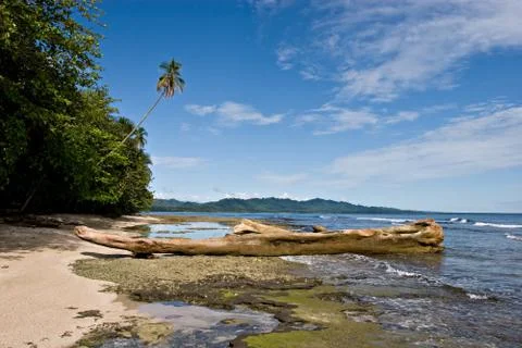 Tropical view Stock Photos
