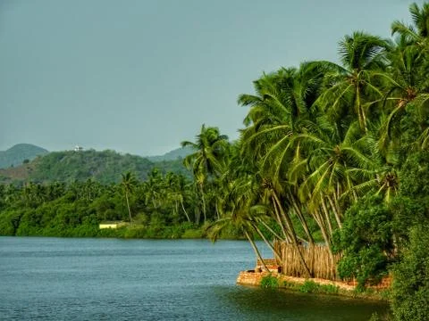 Tropical view Photos