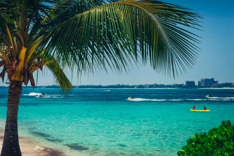 Tropical view from under the palm tree on the turquoise color sea Stock Photos