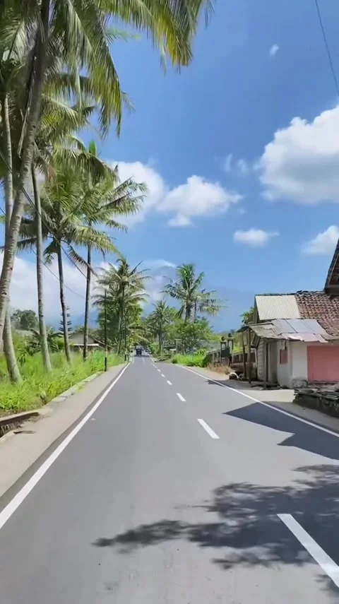 Tropical Volcano Road Drive Stock Footage 341629254