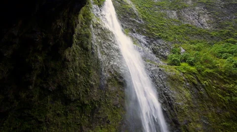 Tropical watefall 動画素材 40216288