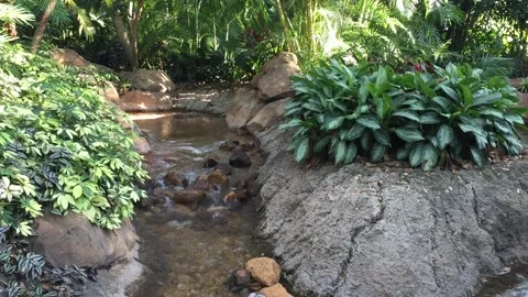 Tropical Water Feature Stock Footage 159509321