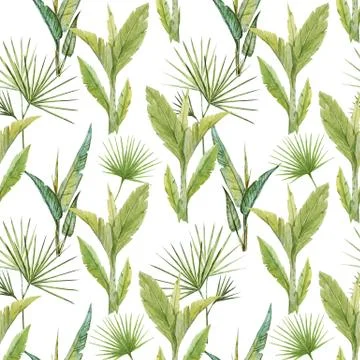 Tropical watercolor pattern 스톡 일러스트