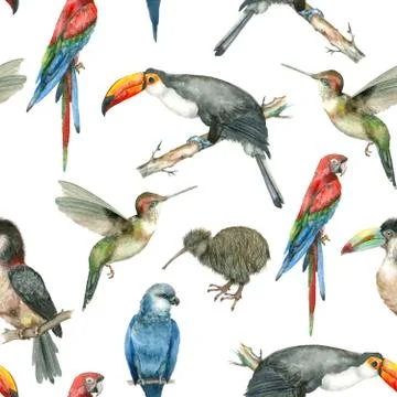 Tropical watercolor pattern Stock Illustration