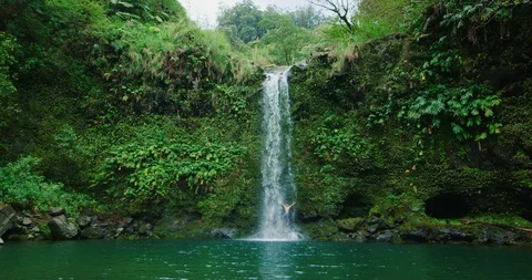 Tropical Waterfall Adventure Stock Footage 89878679