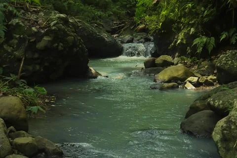 Tropical Waterfall and Rocky Stream in a Lush Forest Stock Photos