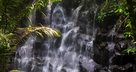 Tropical waterfall in Bali Stock Footage 148695910