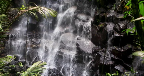 Tropical waterfall in Bali Stock Footage 148697351