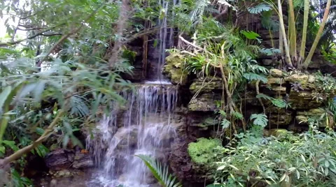 Tropical Waterfall with Camera Motion Stock Footage 46907401