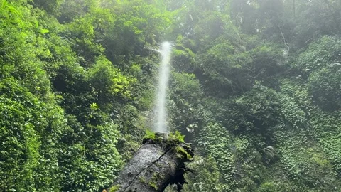 Tropical Waterfall Cascading Down Lush Green Cliff, Natural Jungle Environment, Stock Footage 324083943