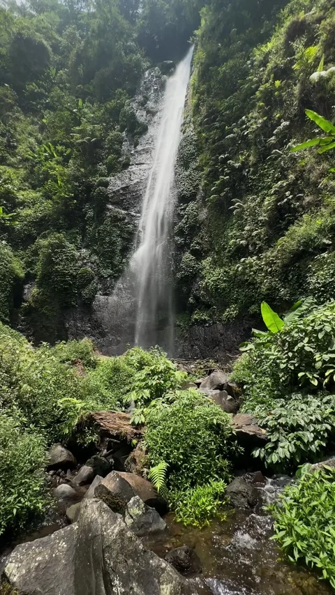 Tropical Waterfall Cascading Down, Lush Green Jungle, Vertical Pan Shot Stock Footage 324851599