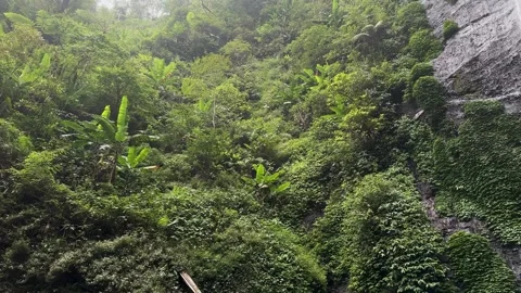Tropical Waterfall Cascading Down Mossy Cliff, Dense Rainforest, Pan Shot Stock Footage 324851241