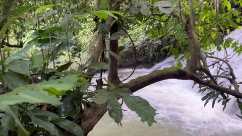 Tropical Waterfall Cascading Down Rocks, Lush Green Jungle, Panning Shot Stock Footage 325304209