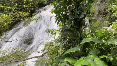 Tropical Waterfall Cascading Down Rocks, Lush Green Rainforest, Gentle Pan Stock Footage 325304210