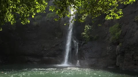 Tropical Waterfall Cascading into Emerald Pool, Lush Rainforest, Smooth Tilt Stock Footage 325647191