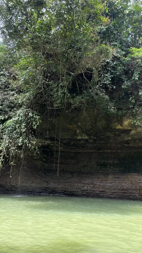 Tropical Waterfall Cascading into Green Pool, Lush Jungle, Vertical Pan Stock Footage 325646570