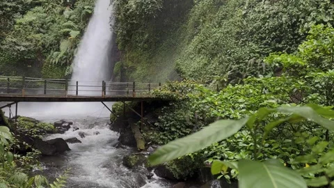 Tropical Waterfall Cascading, River and Wooden Bridge, Lush Jungle Wide Shot Stock Footage 324496722