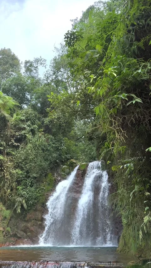 Tropical Waterfall Cascading into Stream in Lush Jungle, Downwards Tilt, Vertica Stock Footage 321104170