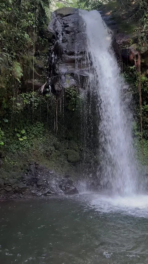 Tropical Waterfall Cascading into Stream in Lush Jungle Vertical Shot 스톡 동영상 321104578