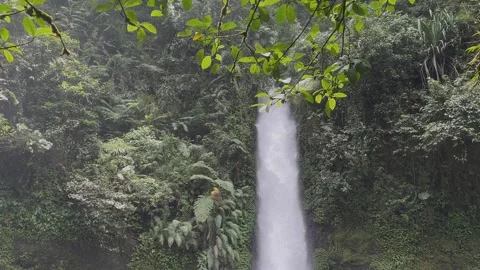Tropical Waterfall Cascading Through Dense Rainforest, Camera Tilt Down Stock Footage 324498533