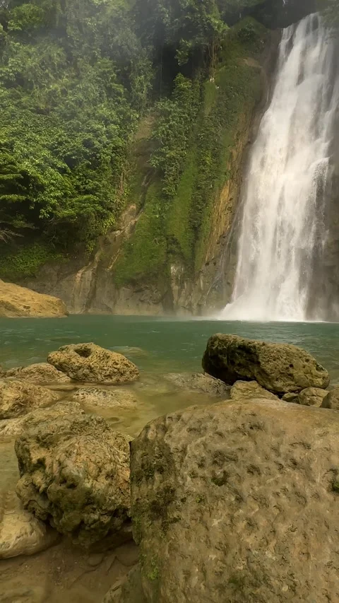 Tropical Waterfall Cascading, Turquoise Pool, Lush Green Forest, Vertical Video stock 325646275